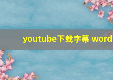 youtube下载字幕 word